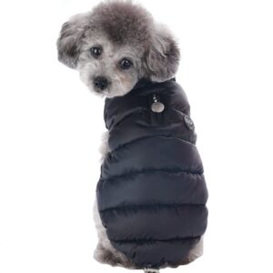 puppy angel padded vest schwarz