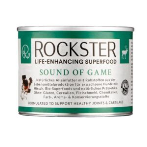 rockster sound of game