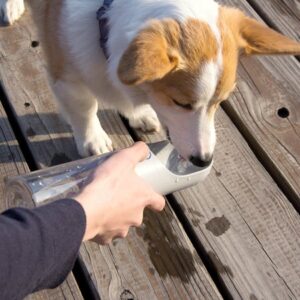 pet outdoor wasserflasche