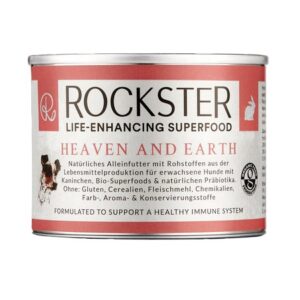 rockster heaven and earth