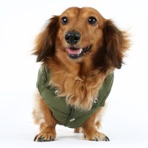 puppy angel padded vest olive