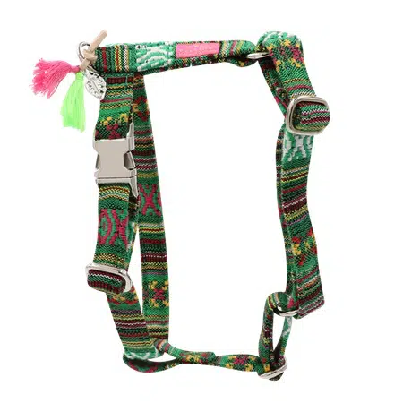 hundegeschirr boho green exklusive hundeboutique