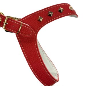 hundeharness kite luxury fashion red