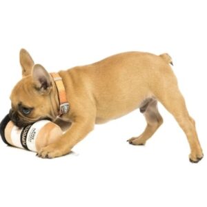 puppuccino frenchie roast toy