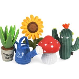 blooming buddies toy von play kaktus