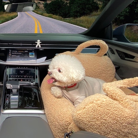 autositz firstclass von monchouchou teddy
