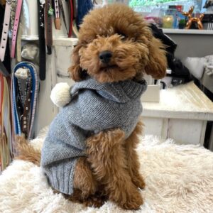 hunde cashmere sweater grau mit ponpon