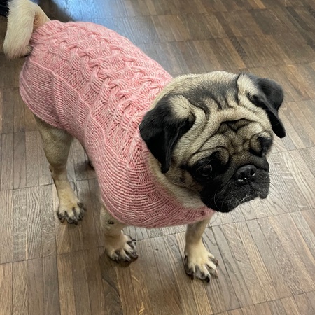 hunde cashmere sweater pink