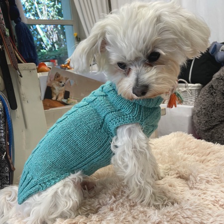 hunde cashmere sweater tiffany blue