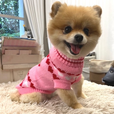 hunde sweater pink heart