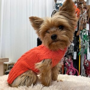 hunde cashmere sweater hermes orange
