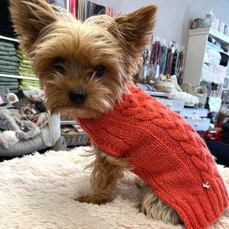 hunde cashmere sweater hermes orange