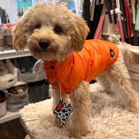 daunen veste orange von i love my dog