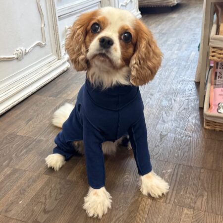 goldpaw stretch fleece jumper marine