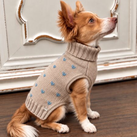 hunde cashmere beige mit powder blau herzen – 100 % cashmere
