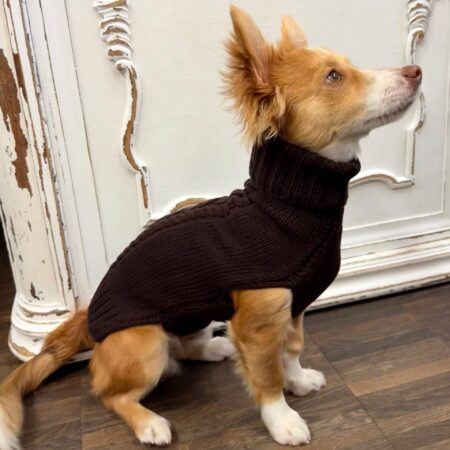 hunde cashmere chocolate braun – 100 % italienischer cashmere