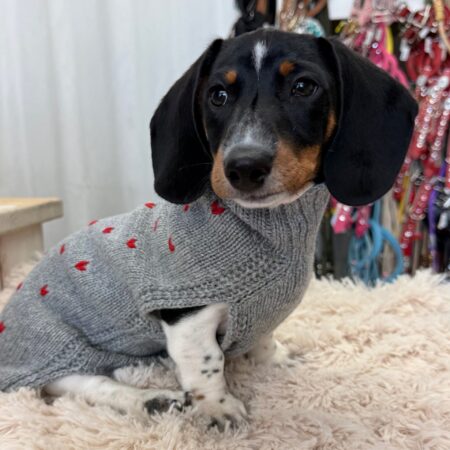 hunde cashmere grey mit roten herzen – 100 % cashmere