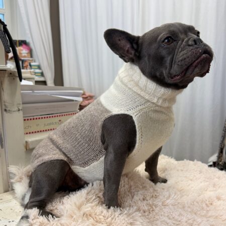 hunde cashmere mohair & seide pailletten – luxus pullover