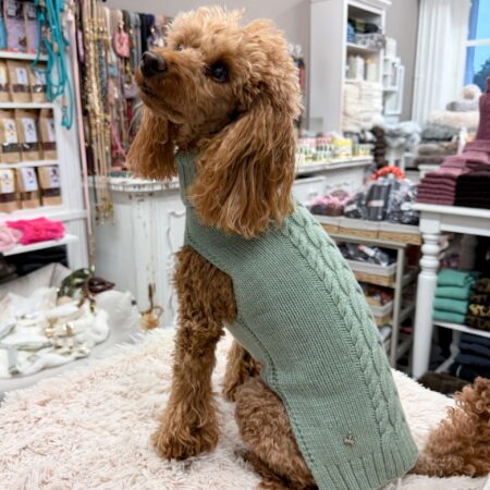 hunde cashmere powder green – 100 % italienischer cashmere