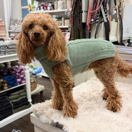 hunde cashmere powder green – 100 % italienischer cashmere