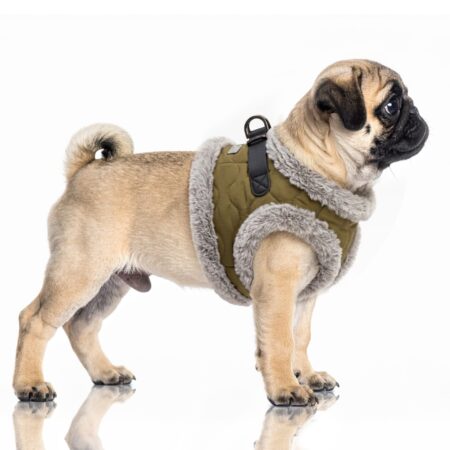 milk & pepper hundegeschirr olive