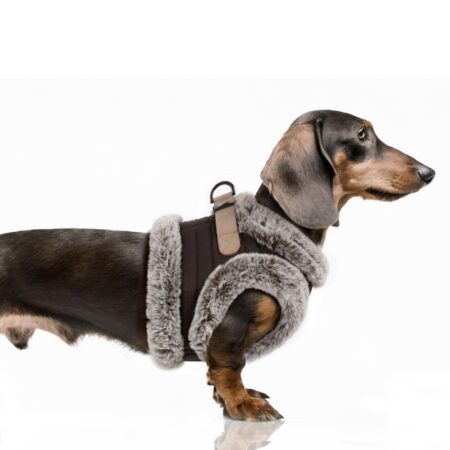 milk & pepper hundegeschirr snowflake chocolat